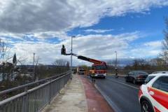 Erkunden der Einsatzstelle Baum über Drehleiter