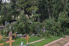 Friedhof Hattersheim