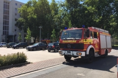 20229233_671529479699582_815641841684472008_n