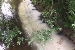 18622286_643987835787080_7523857657894440939_n